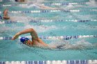 Swimming vs USCGA  Wheaton College Swimming & Diving vs US Coast Guard Academy. - Photo By: KEITH NORDSTROM : Wheaton, Swimming, Diving